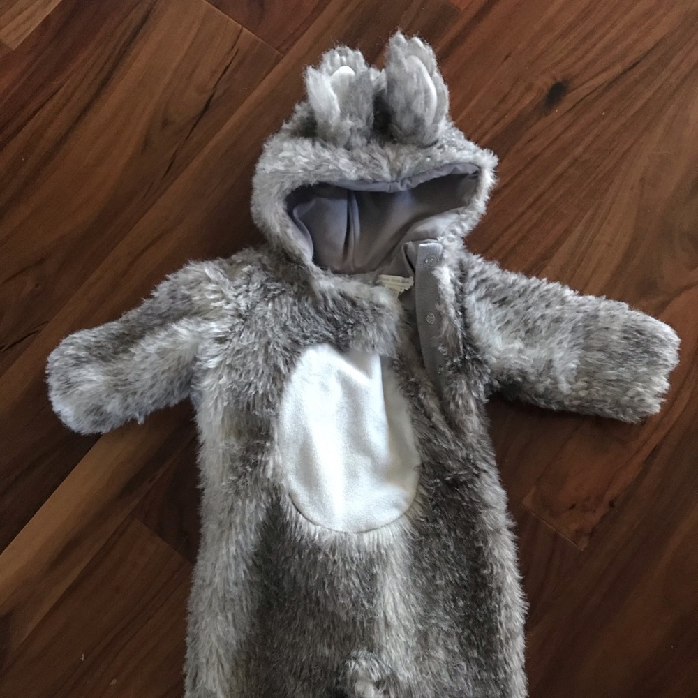 Pottery barn squirrel 6-12 month